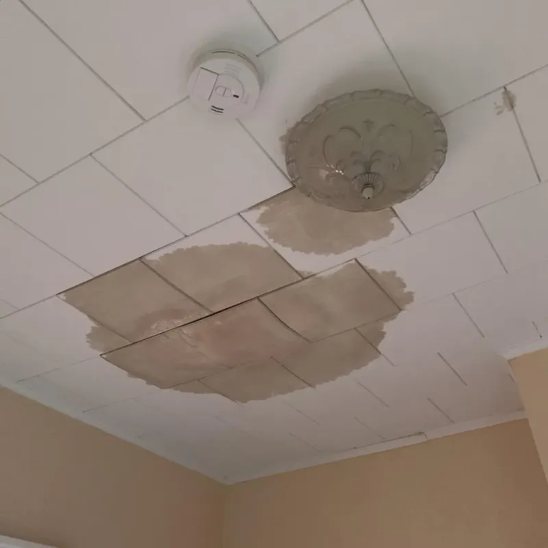 Ceiling Water Damage Repair in Towanda, PA